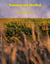 Sonnen im Herbst - ein Tagebuch