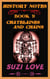 Chatelaines and Chains  History Notes Book 9 - History Notes, #9