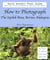 How to Photograph The Sepilok Area, Borneo, Malaysia