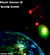 Saving Gemini - Planet Amazon, #5