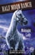 Midnight Lady - Book 5