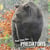 How they live... Predators - Learn All There Is to Know About These Animals!