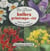 Les fleurs (4): bulbes printemps-été