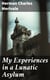 My Experiences in a Lunatic Asylum - By a Sane Patient