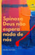 SPINOZA DEUS NÃO ESPERA NADA DE NÓS - NÃO PODEMOS DEFINIR DEUS POR SUA PERFEIÇÃO E AO MESMO TEMPO RECONHECER QUE ELE TEVE QUE CRIAR O MUNDO PARA SER O QUE É.