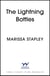 The Lightning Bottles - An absolutely gripping and heartbreaking page-turner