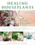 Healing Houseplants - How to Keep Plants Indoors for Clean Air, Healthier Skin, Improved Focus, and a Happier Life!