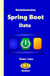 Derinlemesine Spring Boot Data