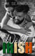 Wild Irish - Wild Irish, #1