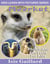 Meerkat Photos and Fun Facts for Kids - Kids Learn With Pictures, #87