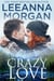 Crazy Love: A Sweet Small Town Romance - Emerald Lake, #3