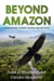 Beyond Amazon