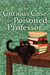The Curious Case of the Poisoned Professor - A Welsh Village Mystery