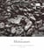 The Holocaust - Origins, History and Aftermath c.1920-1945