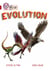 Evolution - Band 14/Ruby