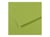 Feuille MI-TEINTES® Canson - 50 x 65 cm - 160g/m² - vert pomme