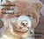 The Adventures of Chuck: Volume 2 - The Adventures of Chuck, #2