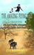 The Amazing Flying Belt – Book Two   Diamonds and Danger in the Kalahari.  Din and Paul’s amazing adventures in South Africa and Namibia. - The amazing flying belt, #2