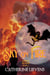 Sky on Fire - Mages & Dragons, #6