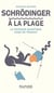 Schrödinger à la plage - La physique quantique dans un transat