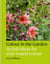 Colour in the Garden - Stylish ideas for year-round colour