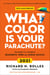 What Color Is Your Parachute? 2021 - Your Guide to a Lifetime of Meaningful Work and Career Success