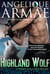 Highland Wolf (Shifters of Dundaire 4) - Shifters of Dundaire, #4