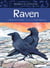 Animals Illustrated: Raven