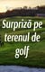 Surpriza pe terenul de golf - McNamara, #4
