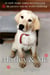 Marley & Me - Life and Love with the World's Worst Dog