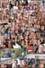 Project Diosdado XI: Taking the Red Pill in the Age of Digital Predators