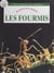 Les fourmis - Des insectes très organisés