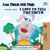 Con Thích Nói Th?t I Love to Tell the Truth - Vietnamese English Bilingual Collection