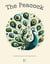 The Peacock And Other Bilingual French-English Stories