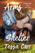 Arms of Shelter (New Edition) - Wyoming Arms, #1