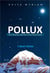 POLLUX - Our Purpose and Plan via Arithmosophy - Transpersonal Fields, #1