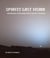 Spirits Last Vision