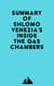Summary of Shlomo Venezia's Inside the Gas Chambers