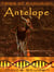 Tales of Evolution: Antelope