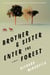 Brother & Sister Enter the Forest - A Novel