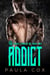 Addict (Book 2) - Rogue Sinners MC, #2