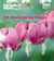 Gardeners' World: 101 Shade-loving Plants - Ideas to Lighten Shadows