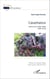 Casamance - Récits d'un conflit oublié - (1982-2014)
