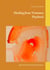 Healing from Visionary Psychosis - Spiritual and Psychological Emergence
