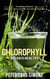 Chlorophyll - Green is Healthy - The green lifeblood - a decisive health factor and energy provider