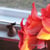 Amaryllis, ritarillinen kukka - Multasormen mietteet