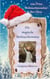Die magische Weihnachtsmütze - eine Prise Weihnachtszauber fürs Herz