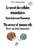 Le secret des cellules immunitaires - Théorie bouleversant l'Immunologie - The secrecy of immune cells - Theory upsetting Immunology