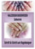 Naildesign Basiswissen Geltechnik - Schritt für Schritt zum Nageldesigner