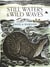 Still Waters & Wild Waves - from beloved illustrator and printmaker Angela Harding
